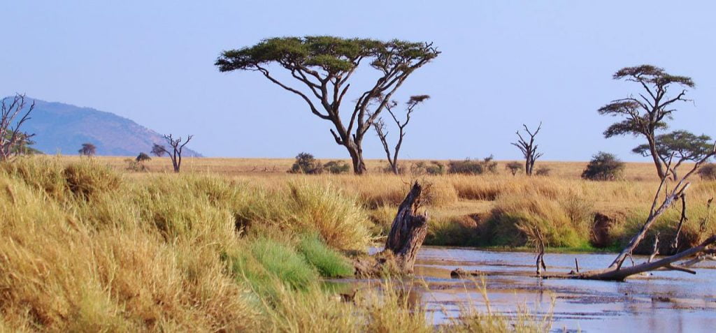 safari tanzania