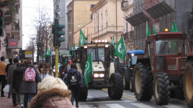 Trattori in strada
