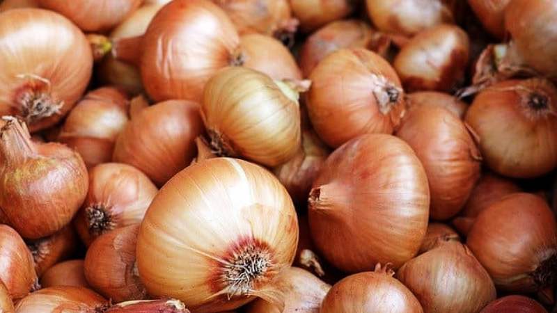 cipolle - Foto di 1195798 da Pixabay