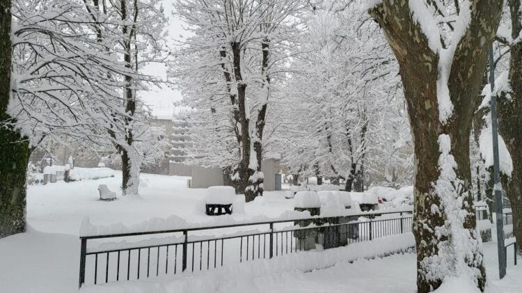 neve perugia - ph comune