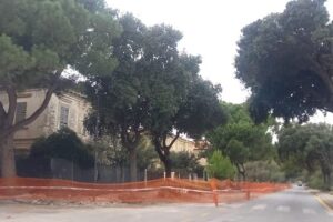Pescara, taglio alberi