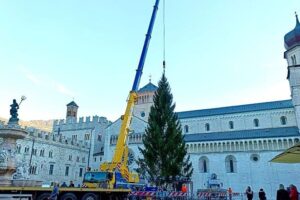 Trento albero natale 2023 ph Comune