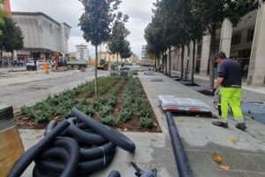 viale Gramsci ph comune Pisa