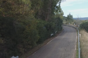 SP 12