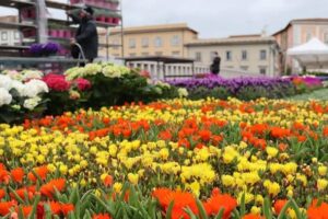 Pisa Verde ph Comune