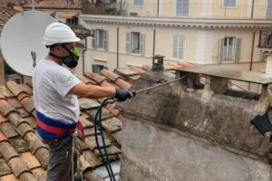disinfestazione roma