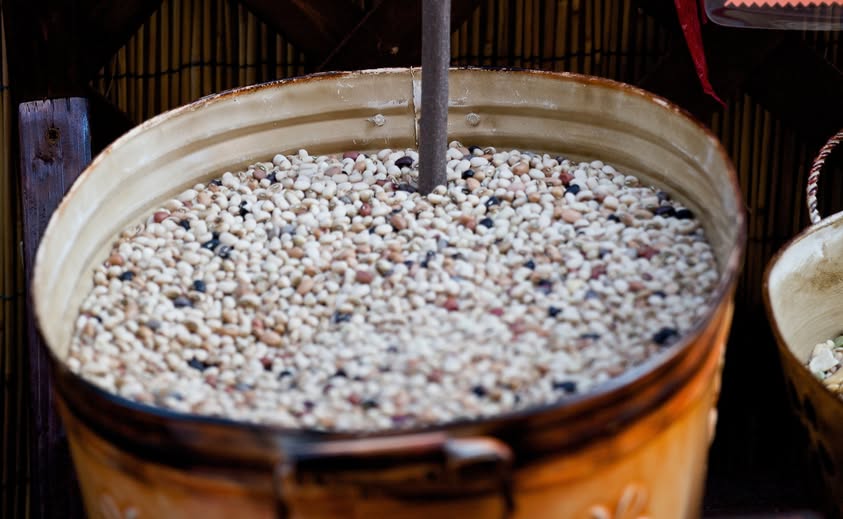Fagiolina del Lago Trasimeno: una riscoperta della tradizione gastronomica Fagiolina del Lago Trasimeno: una riscoperta della tradizione gastronomica