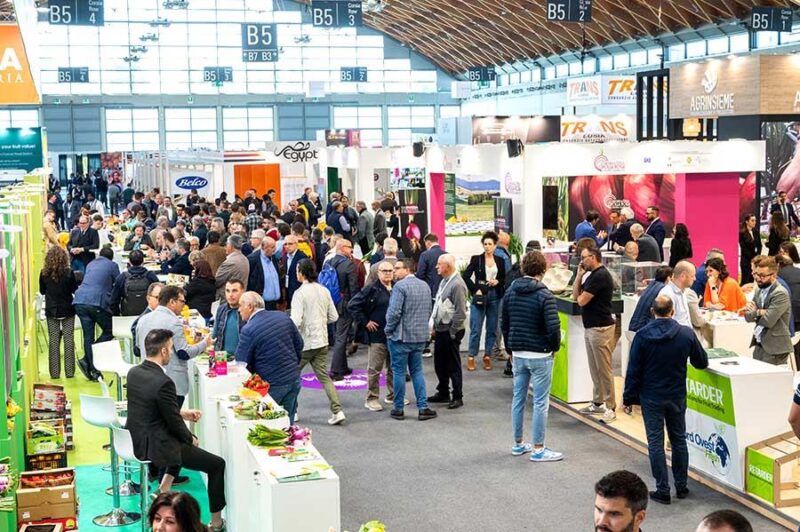 Grande attesa per la patata del Fucino IGP a Macfrut 2025 Grande attesa per la patata del Fucino IGP a Macfrut 2025