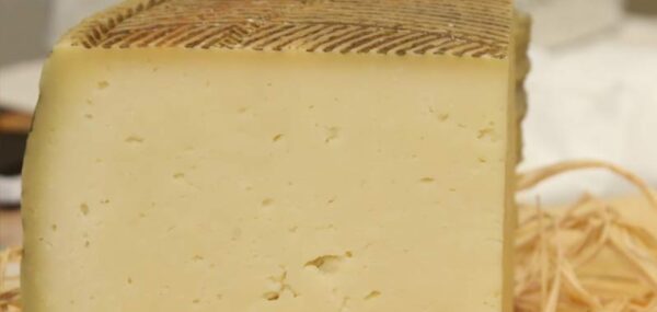 pecorino monte poro dop vibo celebra l8217eccellenza calabrese tra convegno e show cooking