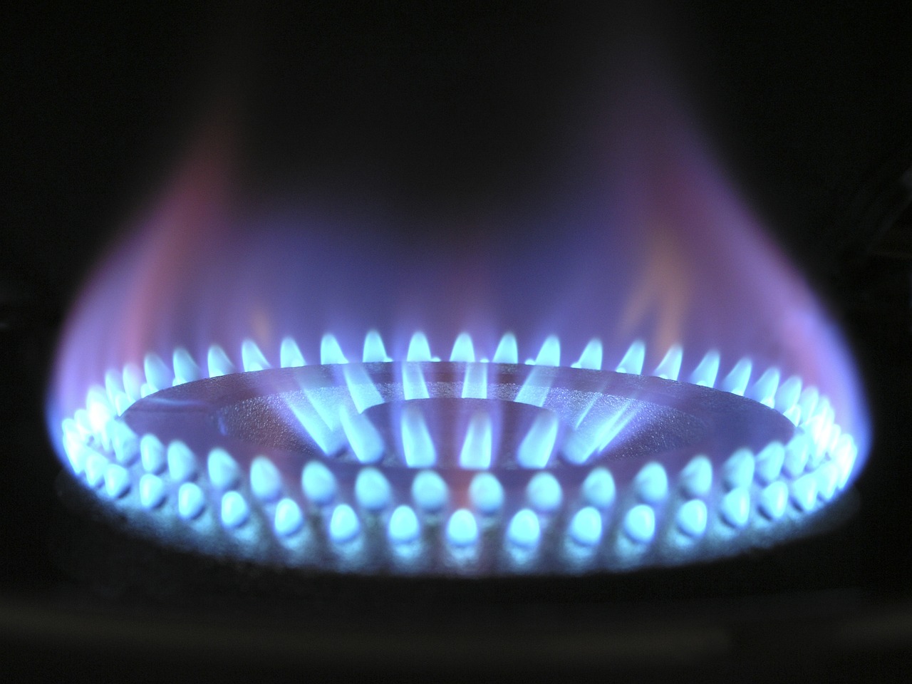 offerte luce e gas a prezzo fisso tutto quello che devi sapere