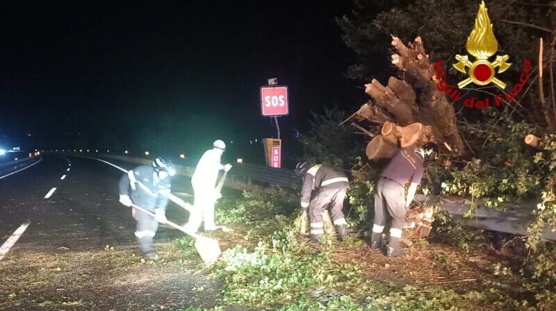 Maltempo nella notte, danni e disagi nel Ternano: pianta cade sull’A1, bloccata la carreggiata sud Maltempo nella notte, danni e disagi nel Ternano: pianta cade sull’A1, bloccata la carreggiata sud