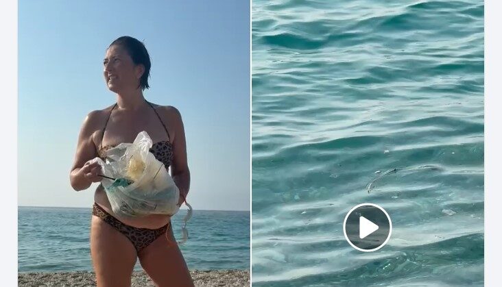 vibo marina l8217appello della giornalista rai karen sarlo per salvare il mare