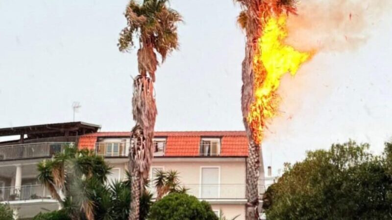 Amantea, fulmine colpisce una palma a Campora San Giovanni: incendio domato dalla pioggia