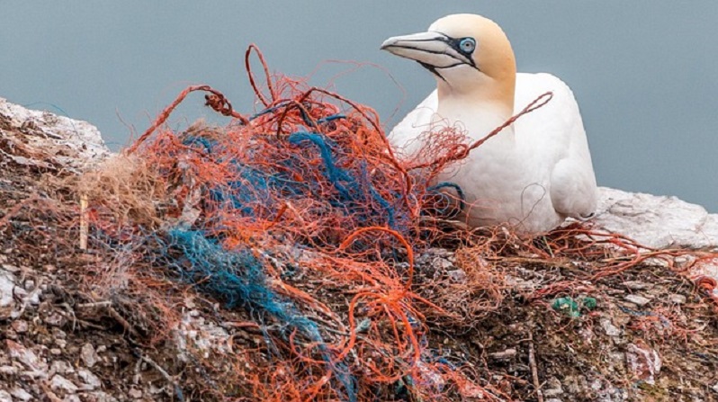 ginevra fallisce il negoziato sul primo trattato globale contro l8217inquinamento da plastica