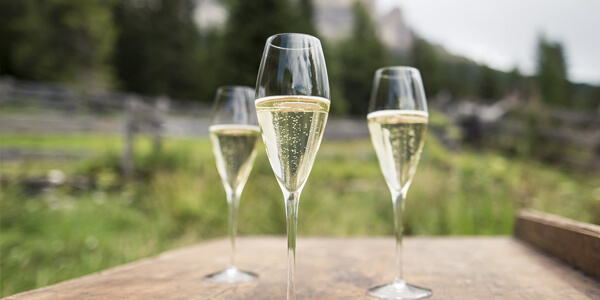 La versatilità del Prosecco: una guida alla scelta del vino perfetto per ogni occasione La versatilità del Prosecco: una guida alla scelta del vino perfetto per ogni occasione