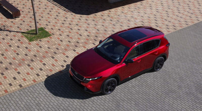 come funziona la rivalsa nelle polizze auto e in quali casi pu242 scattare da Laprimapagina.it come funziona la rivalsa nelle polizze auto e in quali casi pu242 scattare