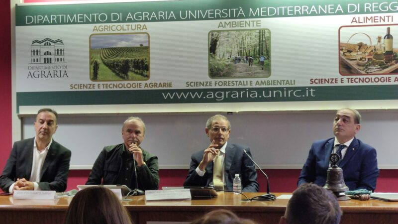 Il dottor Domenico Praticò nominato socio onorario del Rotary Club di Melito Porto Salvo Il dottor Domenico Praticò nominato socio onorario del Rotary Club di Melito Porto Salvo