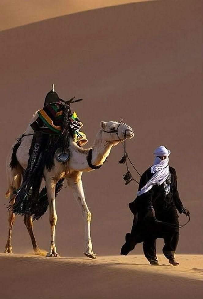 Con la testa fra le nuvole