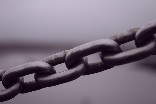 Lucera ospita la prima edizione di Connessioni Fest: cultura, innovazione e territorio al centro del festival Lucera ospita la prima edizione di Connessioni Fest: cultura, innovazione e territorio al centro del festival