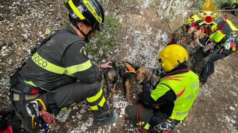 foligno due cacciatori bloccati a pale salvati dai vigili del fuoco recuperato anche il cane ferito da Laprimapagina.it foligno due cacciatori bloccati a pale salvati dai vigili del fuoco recuperato anche il cane ferito