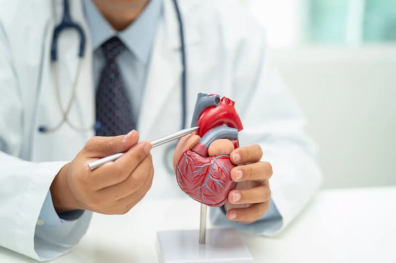 il cardiologo a domicilio offre visite specialistiche direttamente a casa del paziente da Laprimapagina.it il cardiologo a domicilio offre visite specialistiche direttamente a casa del paziente