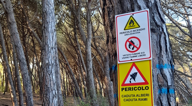 enzo comerci opposizione civica la pineta di nicotera marina chiusa per pericolo 232 il simbolo dell8217abbandono e dell8217irresponsabilit224 istituzionale da Laprimapagina.it enzo comerci opposizione civica la pineta di nicotera marina chiusa per pericolo 232 il simbolo dell8217abbandono e dell8217irresponsabilit224 istituzionale