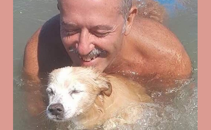 massimo martire commuove il web con birra sono stati 15 anni bellissimi il ricordo nella giornata mondiale del cane da Laprimapagina.it massimo martire commuove il web con birra sono stati 15 anni bellissimi il ricordo nella giornata mondiale del cane