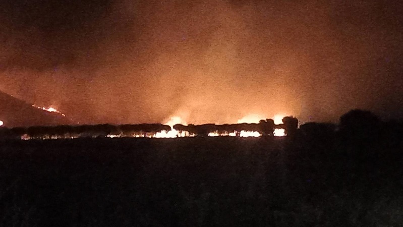 castrovillari accerchiata dalle fiamme il sindaco de gaio attiva il coc e lancia l8217allarme una ferita aperta che stiamo sanando senza sosta da Laprimapagina.it castrovillari accerchiata dalle fiamme il sindaco de gaio attiva il coc e lancia l8217allarme una ferita aperta che stiamo sanando senza sosta