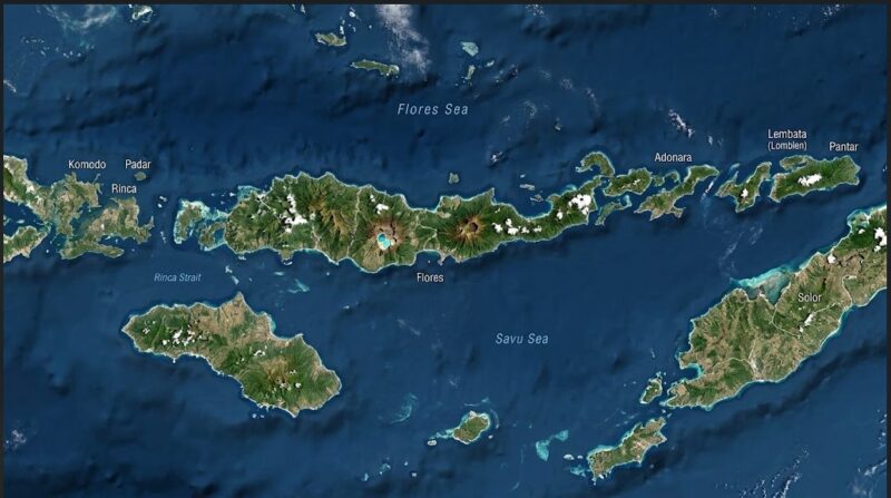 indonesia due terremoti in poche ore almeno 51 morti circa 500 italiani bloccati a flores da Laprimapagina.it indonesia due terremoti in poche ore almeno 51 morti circa 500 italiani bloccati a flores