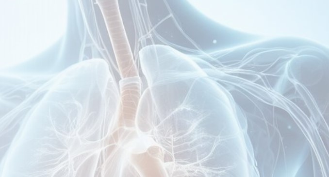 mesotelioma fare rete per far viaggiare competenze e cure da Laprimapagina.it mesotelioma fare rete per far viaggiare competenze e cure
